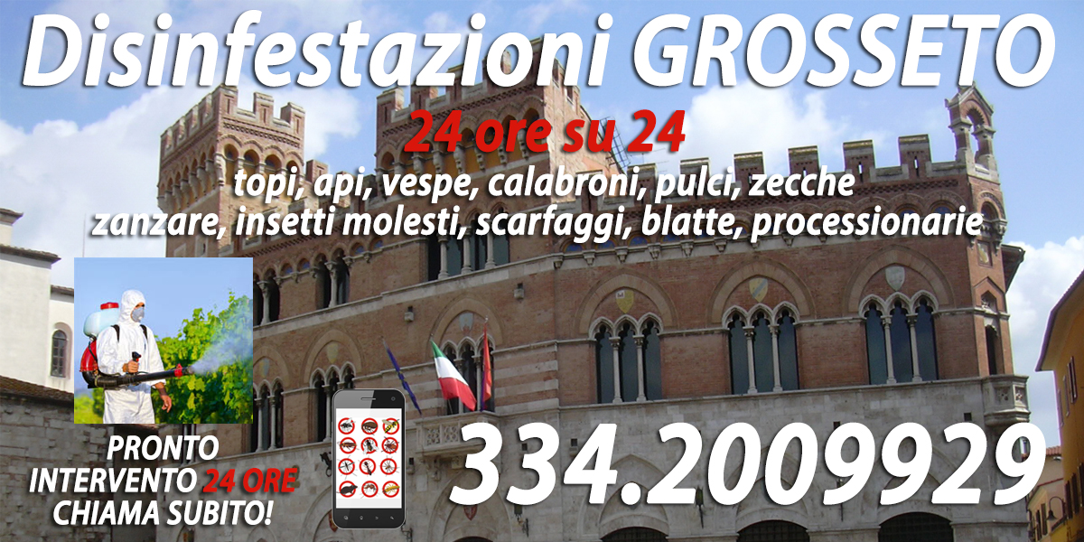 Disinfestazioni Grosseto