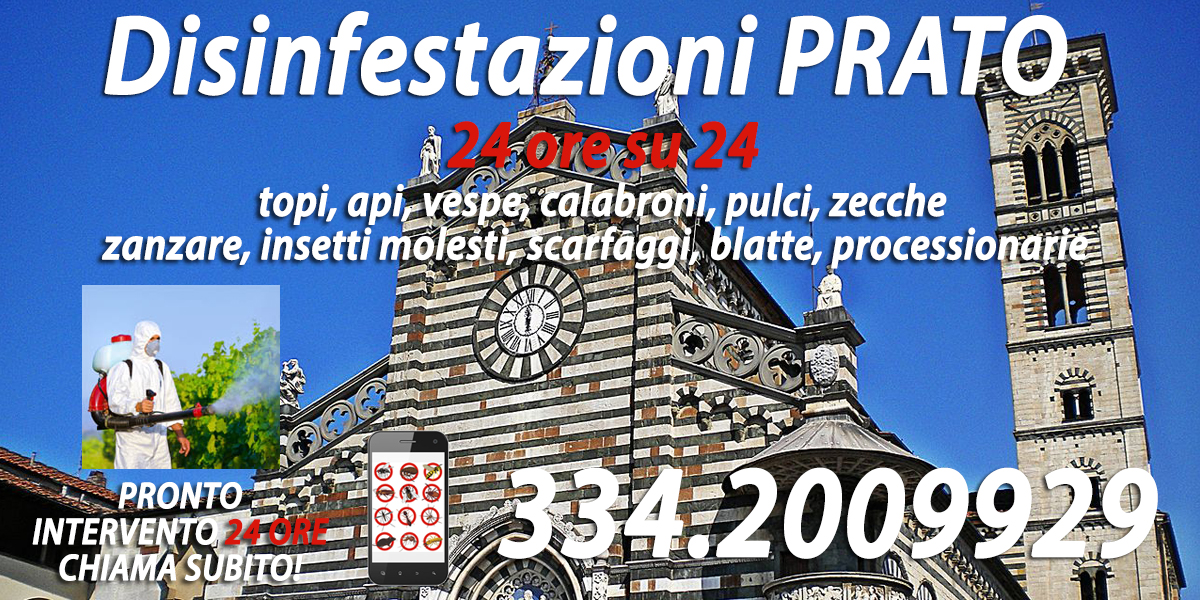 Disinfestazioni Prato